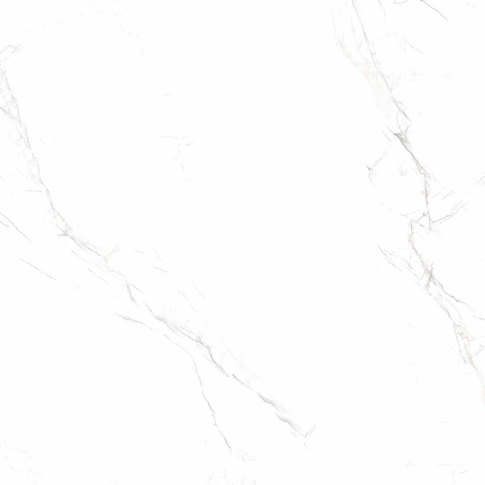 Grès cérame émaillé Carrara Grey, brillant, 80x80 cm – 1er choix