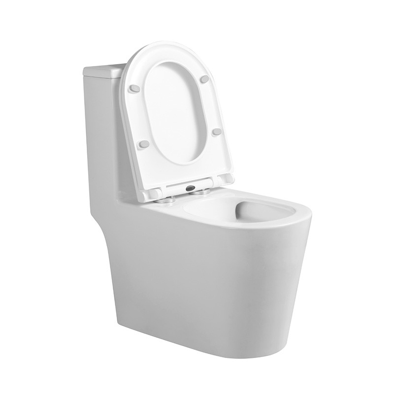 WC compact Prestige Form 3.0 – monobloc avec rinçage tourbillonnaire et abattant frein de chute